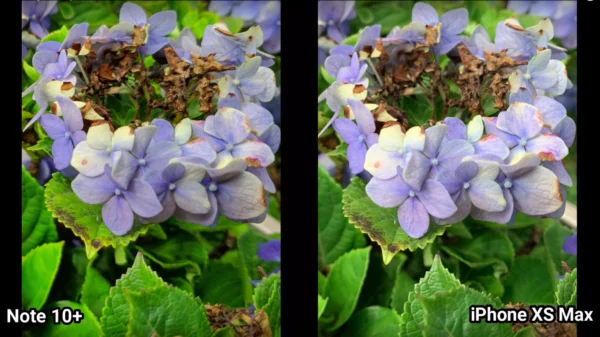 galaxy note 10 vs iphone xs max