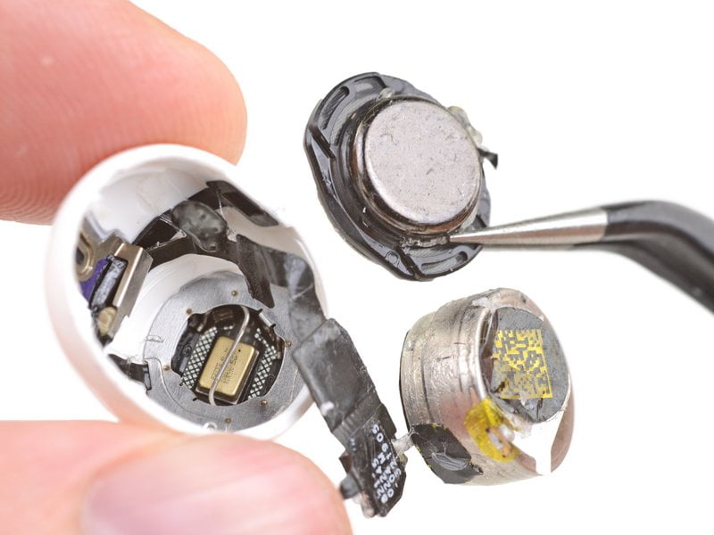 WEpddnsSXf3wurQM.large