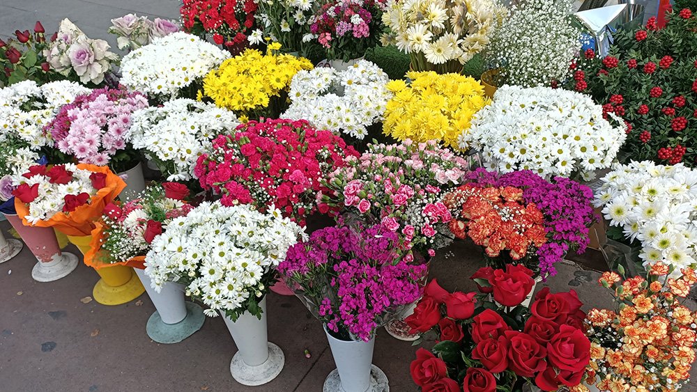 Oppo Reno2 Z kamera performansına örnek fotoğraflarla bakıyoruz