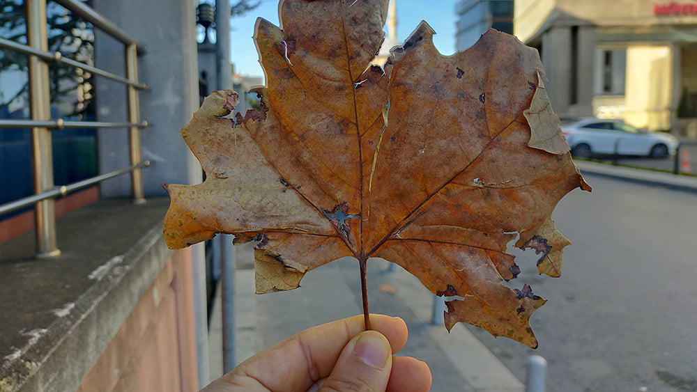 Oppo A9 kamera performansına örnek fotoğraflarla bakıyoruz