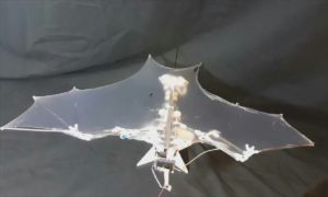 Yarasaya benzeyen drone