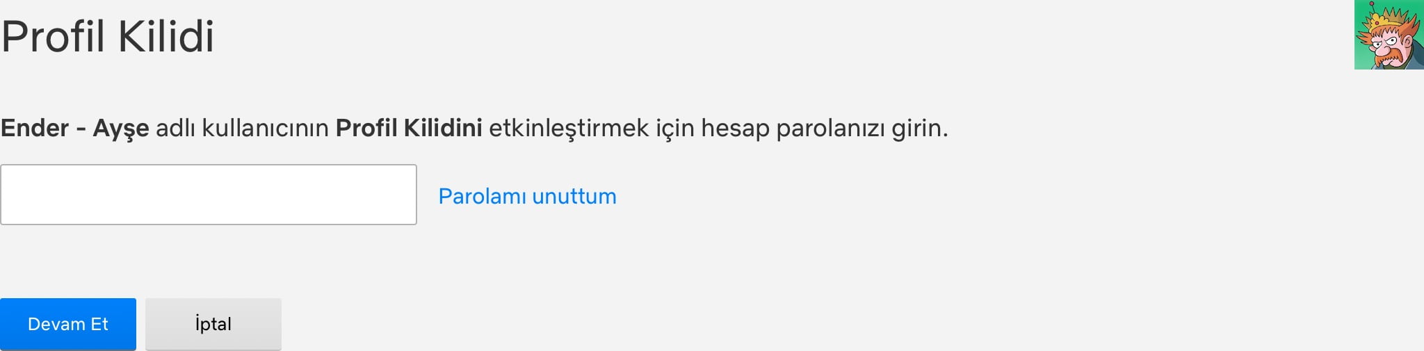 netflix profil şifre koyma