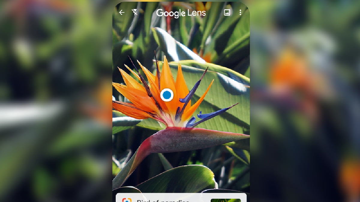 Google Lens yeni özelliği