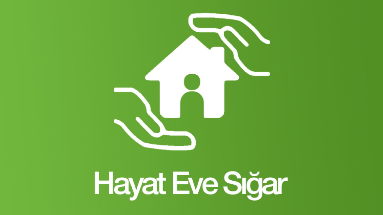 Hayat Eve Sığar 1