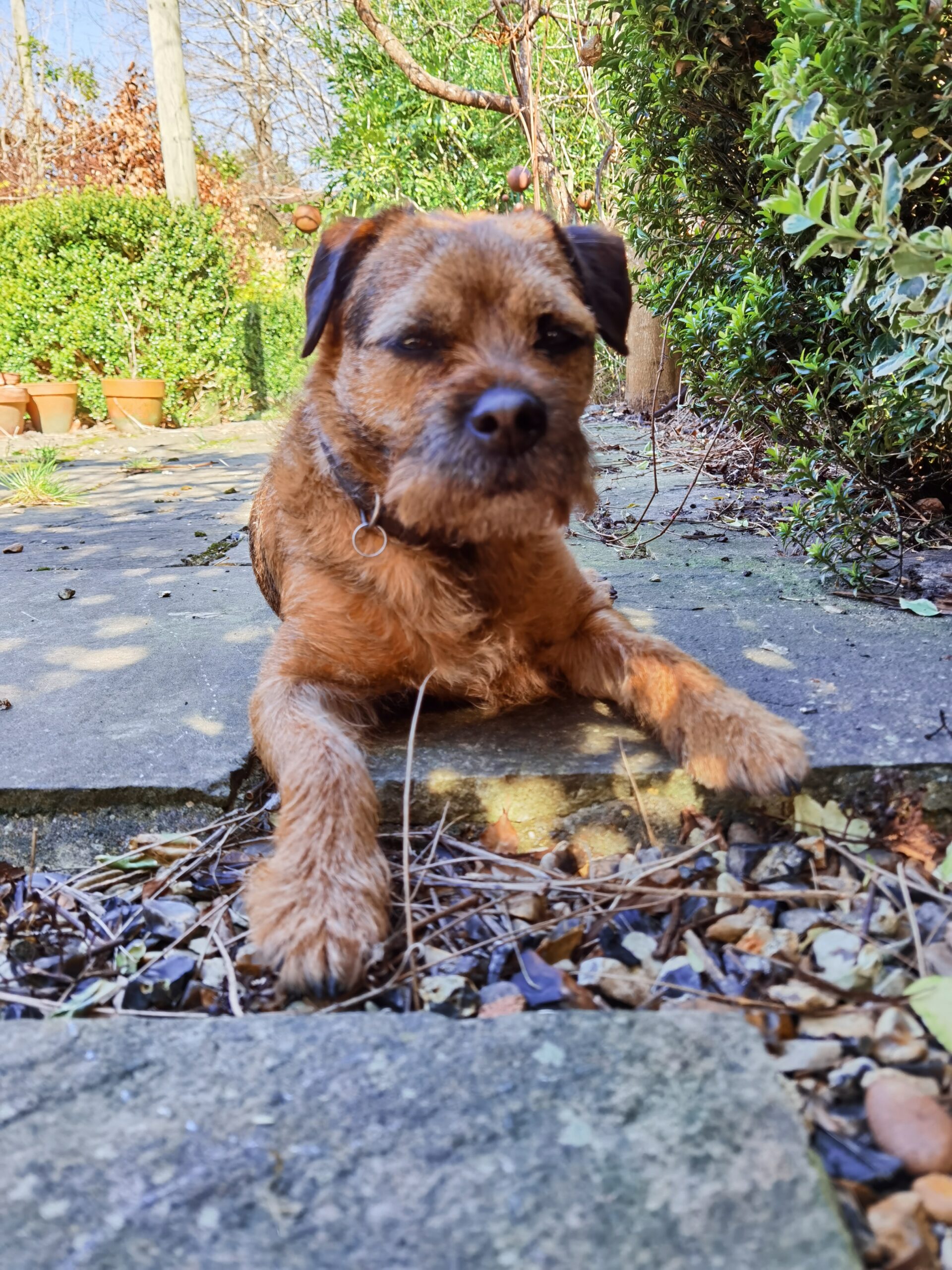 Huawei P40 Pro 1 scaled