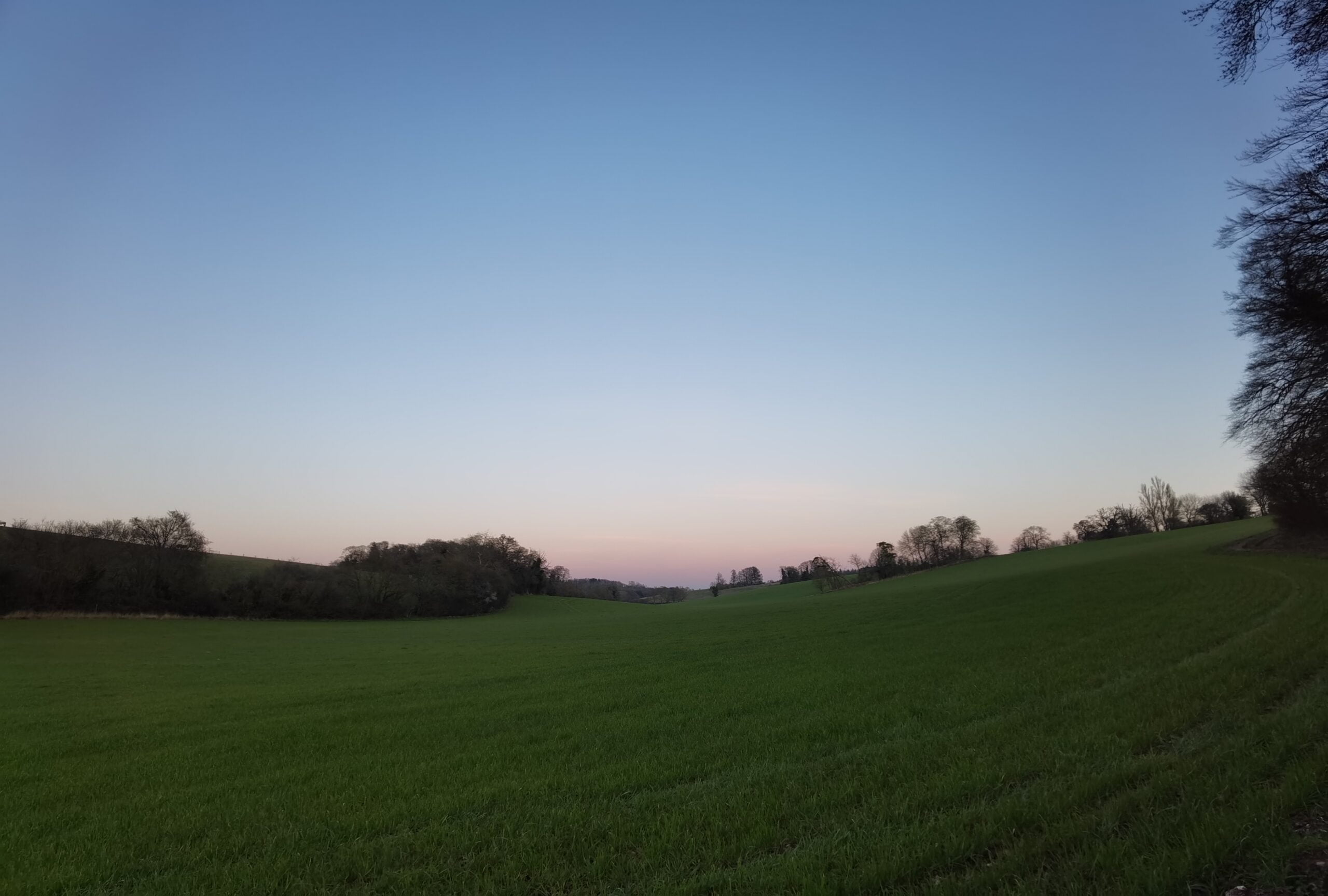 Huawei P40 Pro 12 scaled