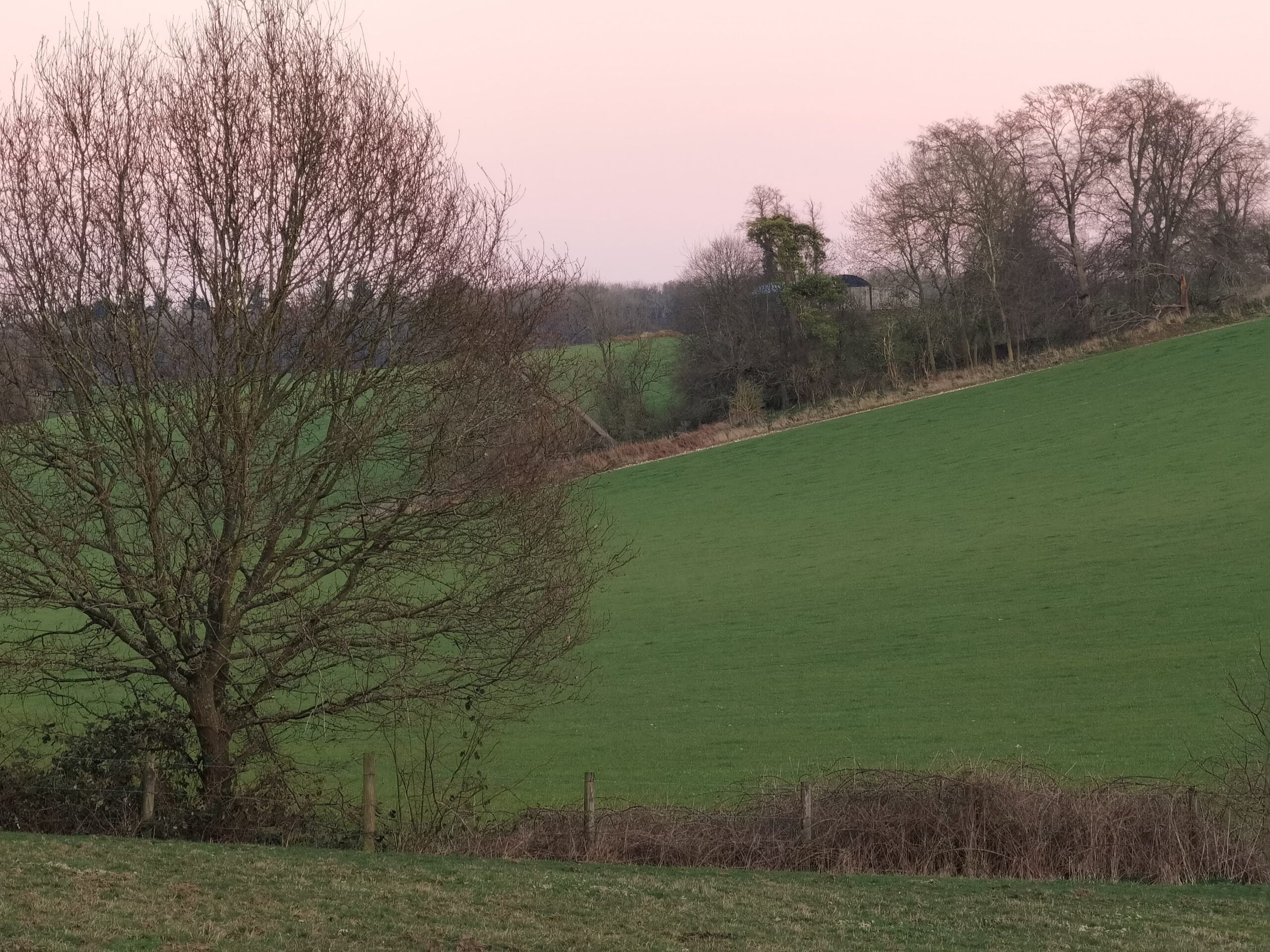 Huawei P40 Pro 15 scaled