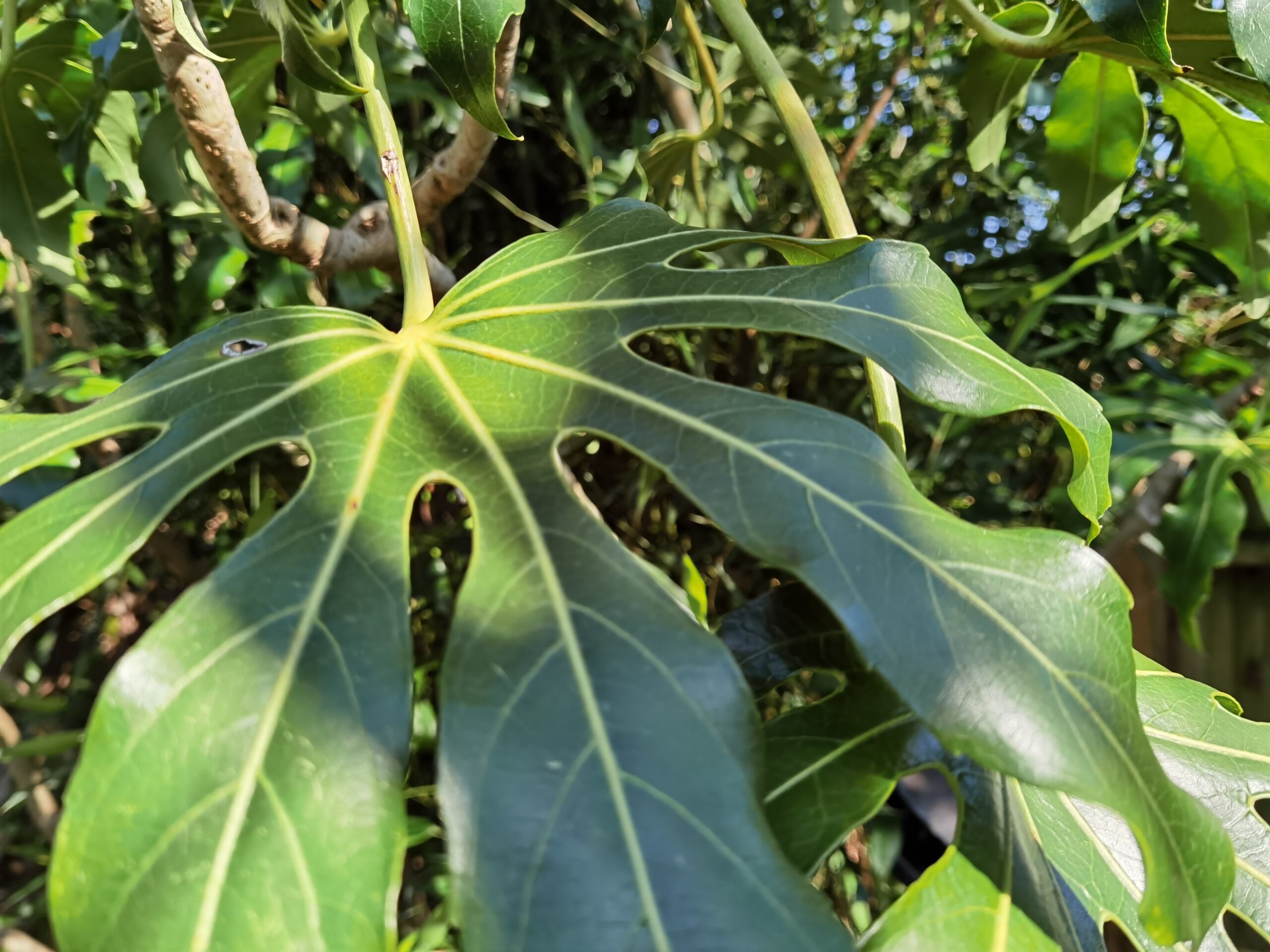 Huawei P40 Pro 2 scaled