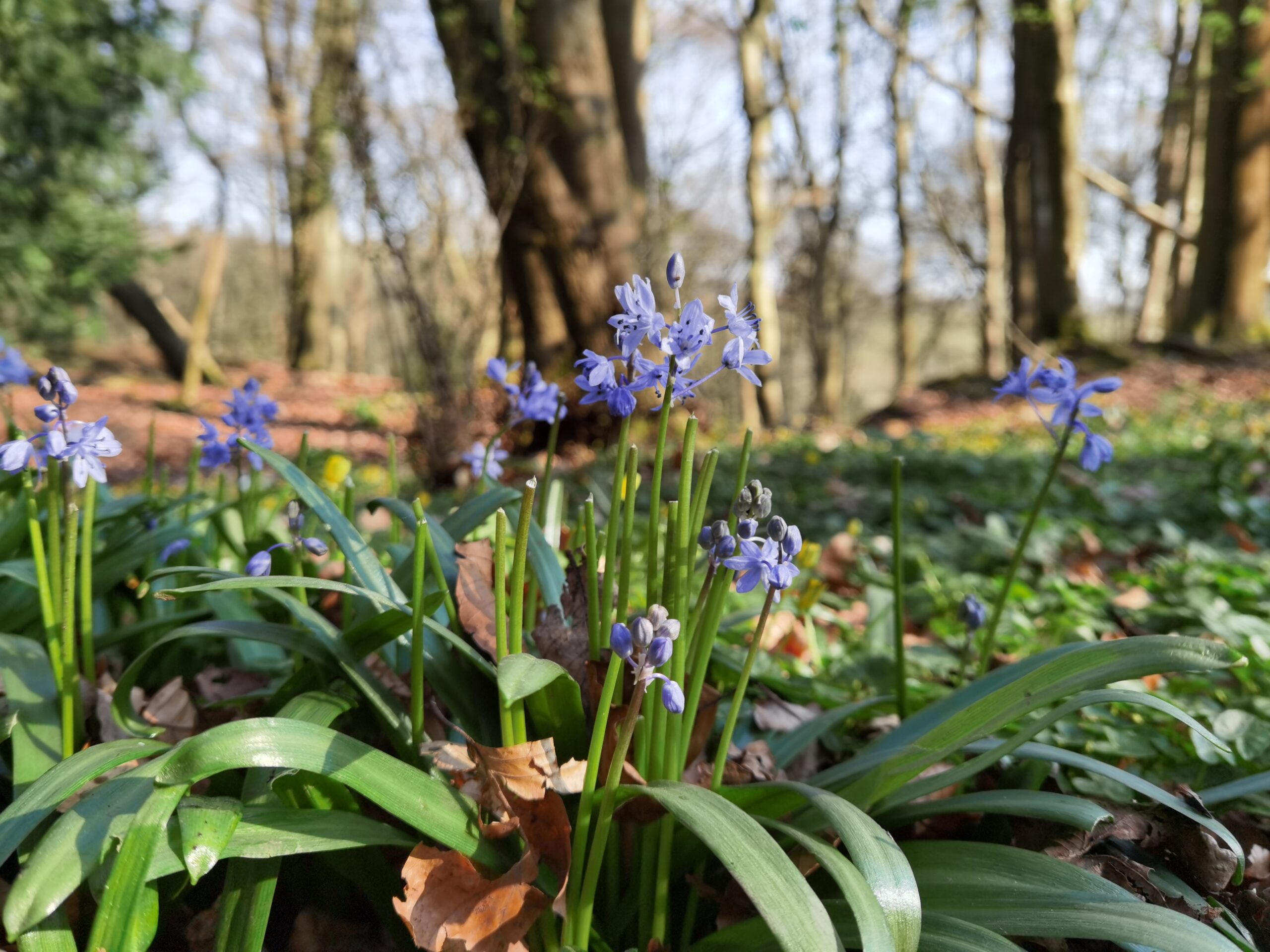 Huawei P40 Pro 27 scaled