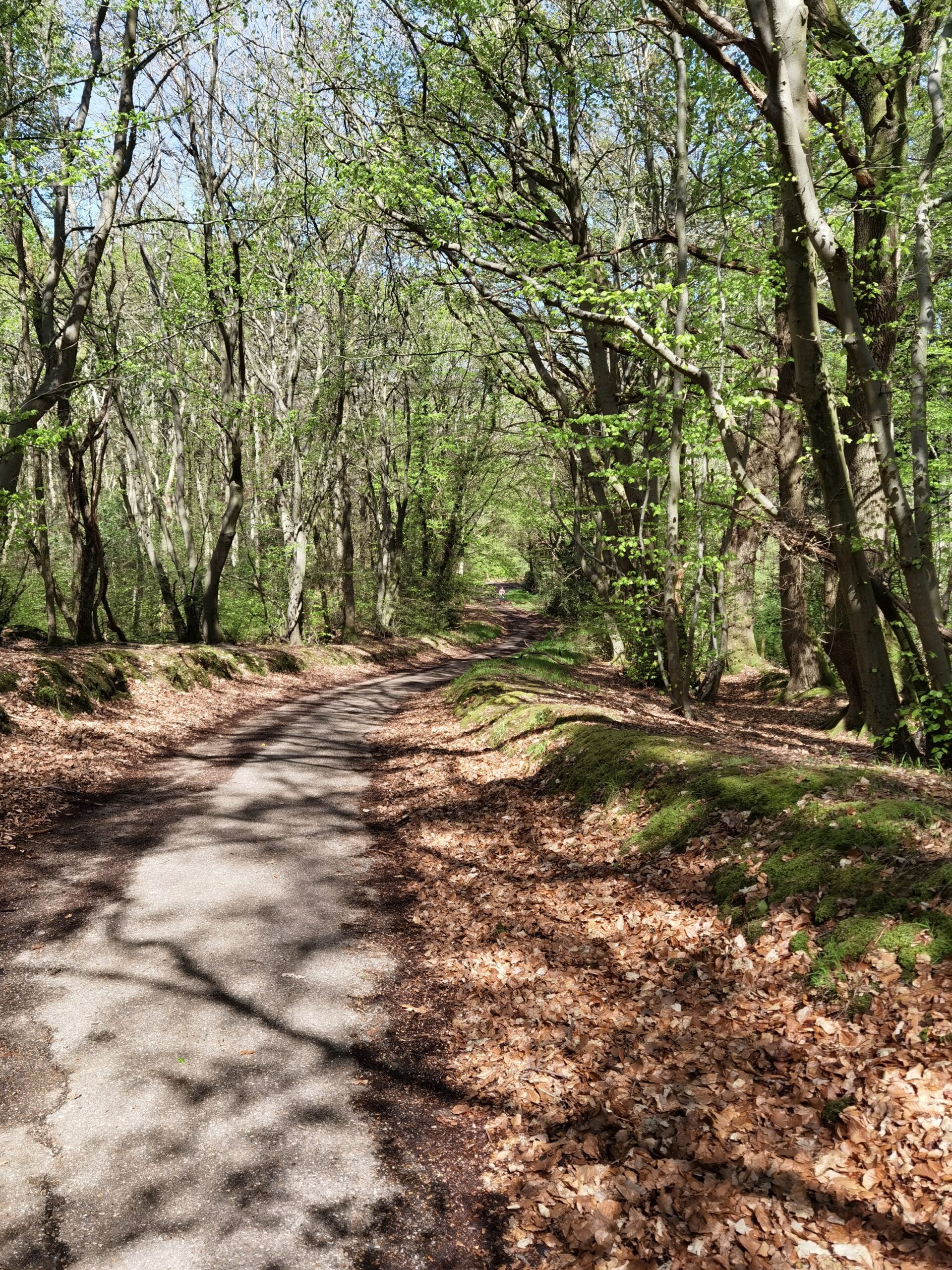 Huawei P40 Pro 30 scaled