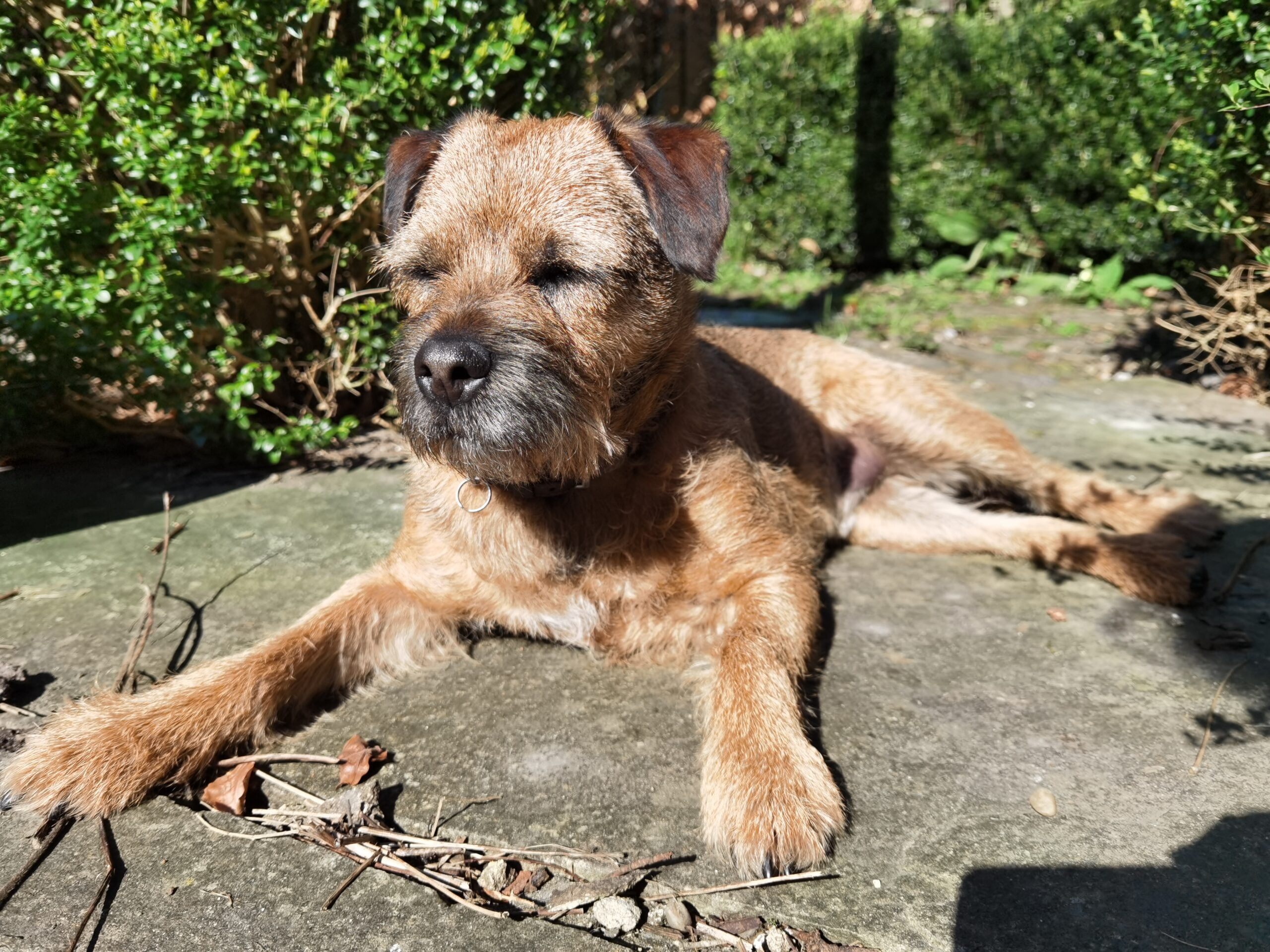 Huawei P40 Pro 4 scaled