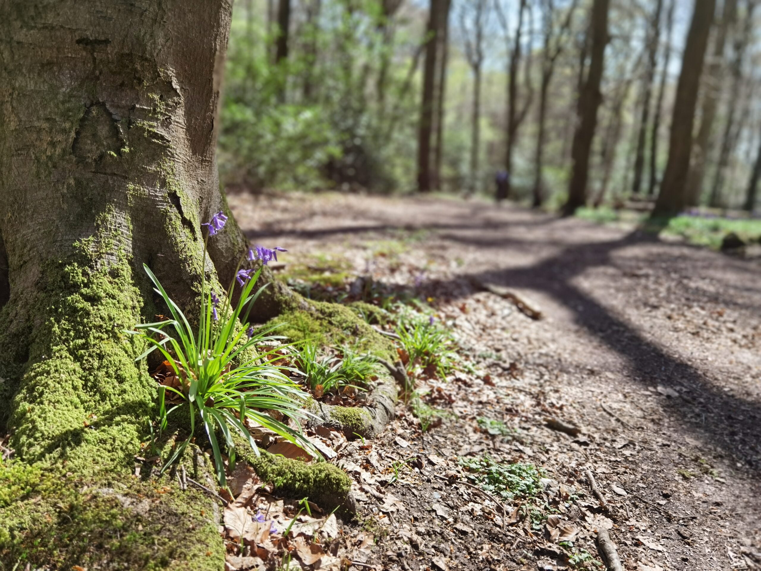 Huawei P40 Pro 42 1 scaled