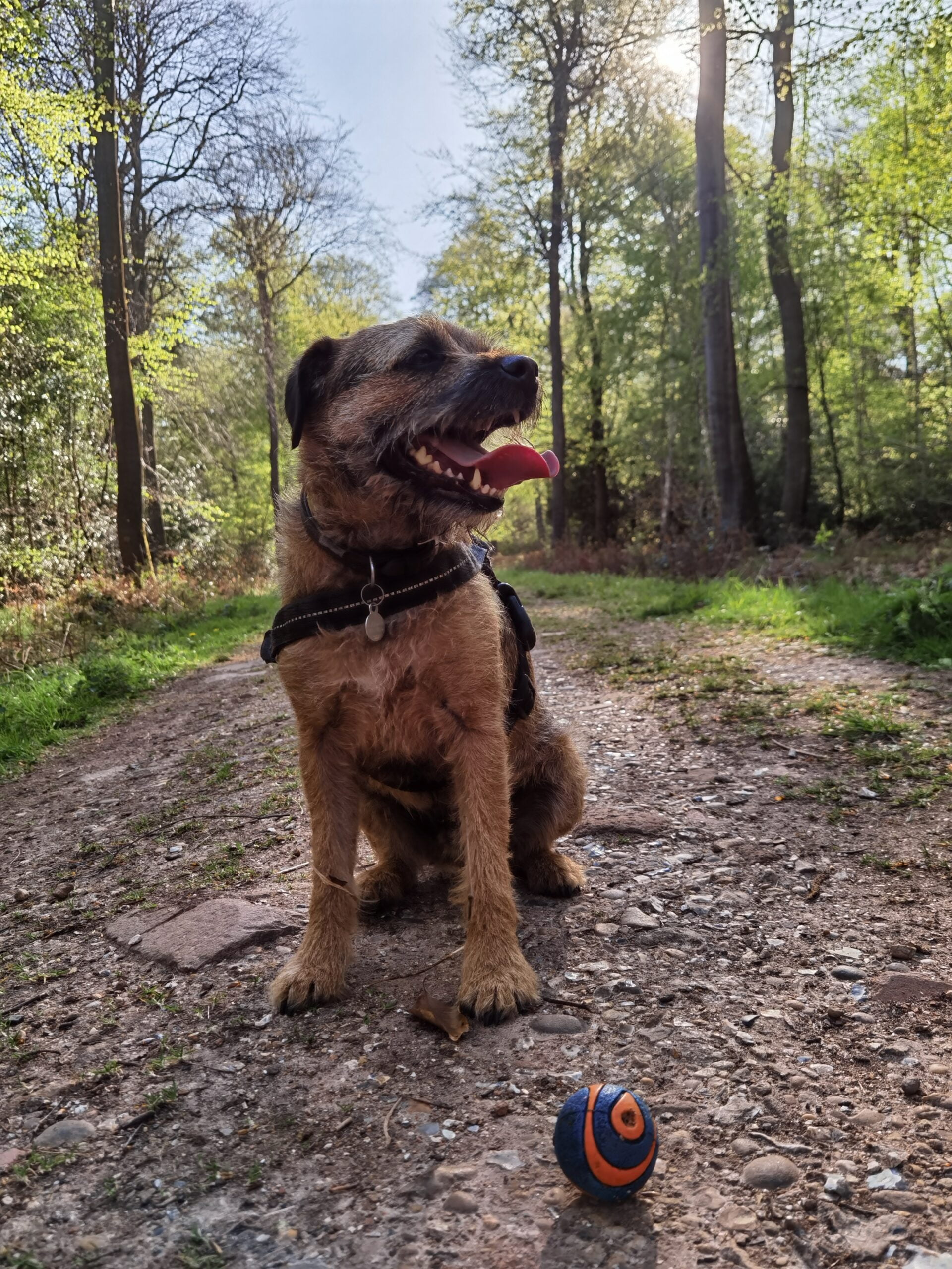 Huawei P40 Pro 46 scaled