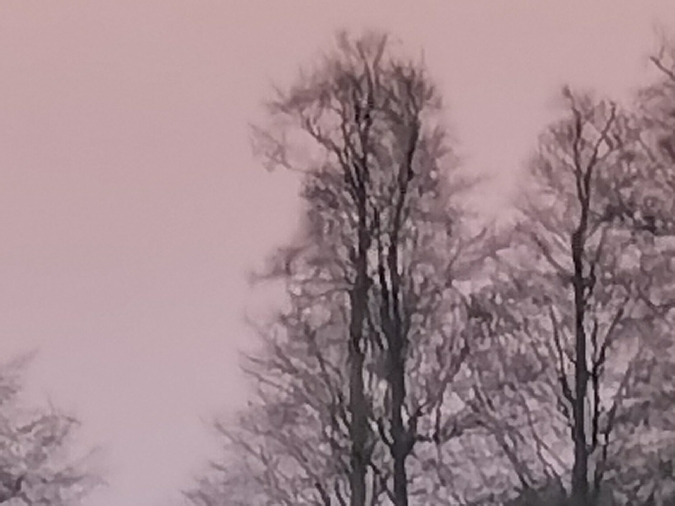 Huawei P40 Pro 7 scaled