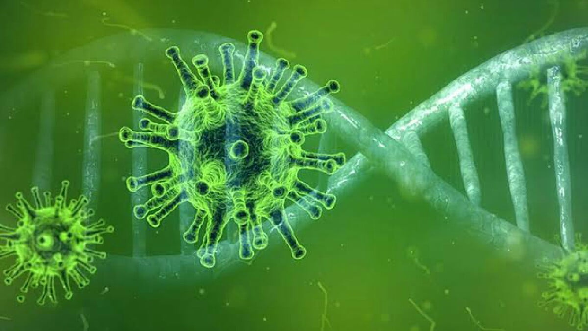 Türkiye yapılan aşı sayısı