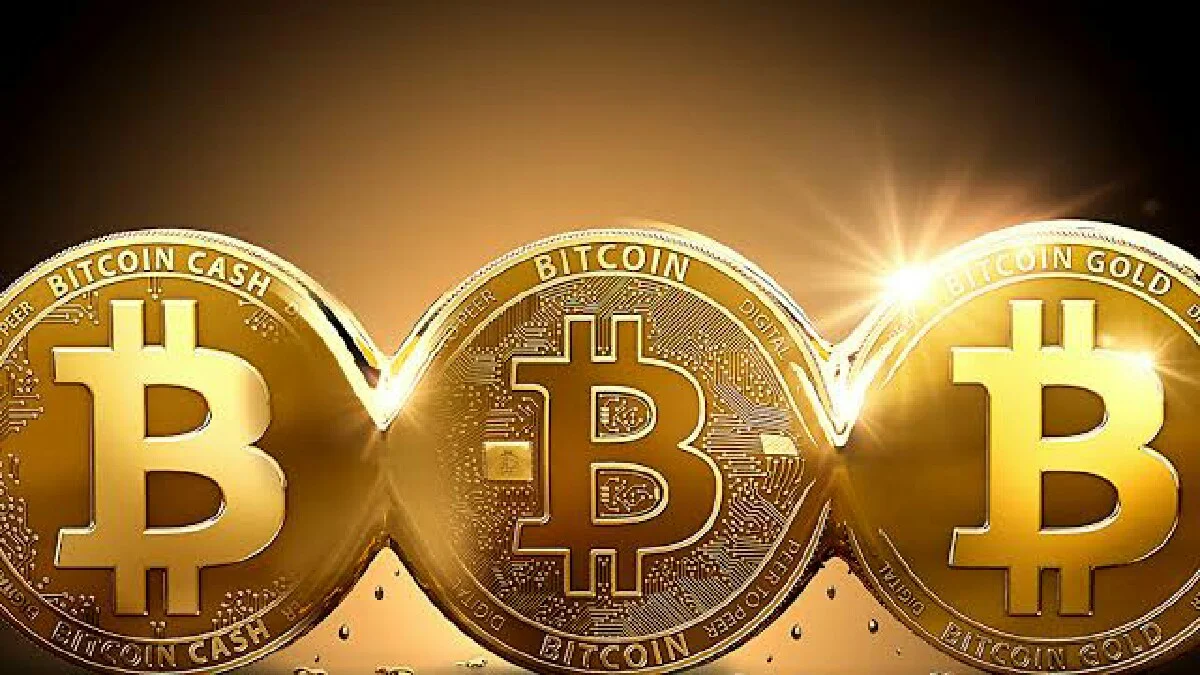 Bitcoin kullanıcıları zarar