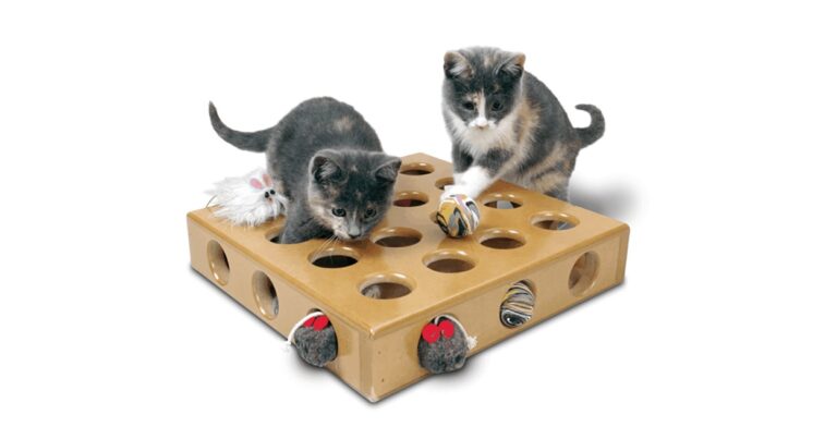 Kediler ve sahipleri için en iyi teknolojik oyuncaklar