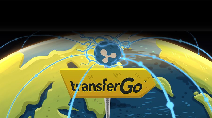 TransferGo