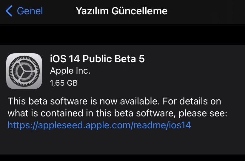 iOS 14 Public Beta 5