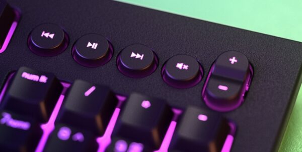 Razer Cynosa V2 RGB oyuncu klavyesi: Her tuşu ayrı ayrı renklendirin