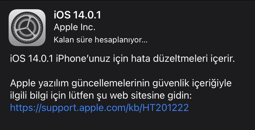 iOS 14.0.1