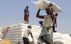 Gıda ve otomobil fiyatları