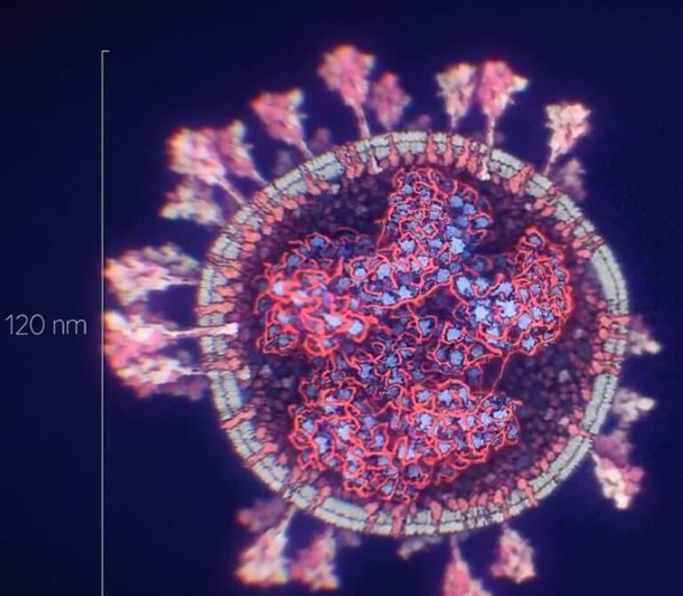 İşte yeni koronavirüs varyantı: Delmicron