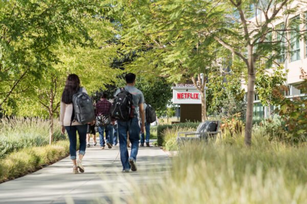 Netflix, İstanbul ofisi için ofis yöneticisi arıyor!