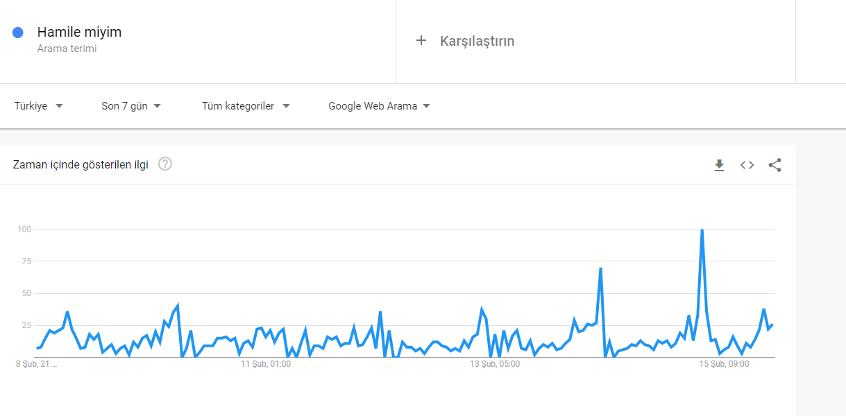 Hamile miyim araması 14 Şubat'ta zirve yaptı! 2 sss