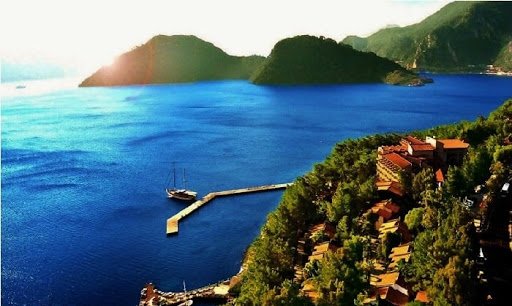 Datça belediyesi NFT