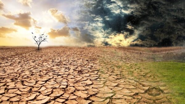 İklim değişikliği korkutucu sonuçlar doğurabilir! Bilim insanları açıkladı