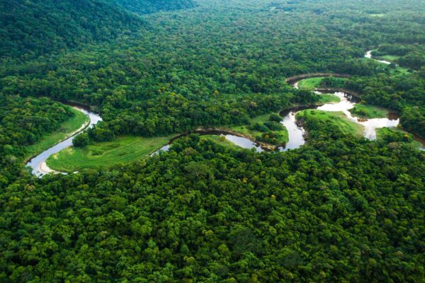 Brezilya ormanları kritik erişe geldi! Küresel ısınma artacak