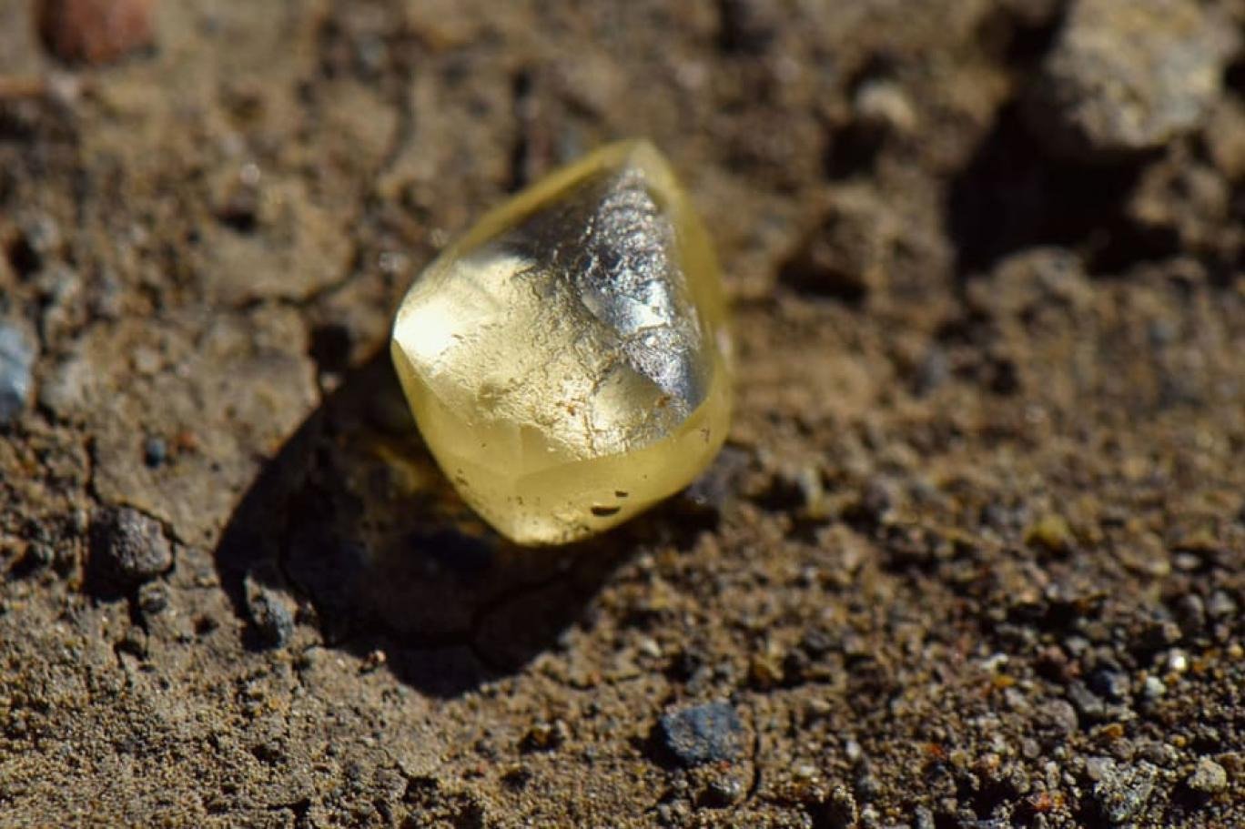 Parkta dolaşırken 4.38 karatlık pırlanta buldular