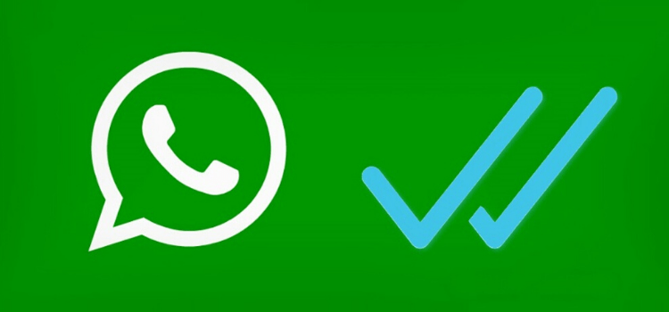 WhatsApp üç mavi tik