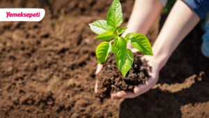 Yemeksepeti , karbon ayak izini dengeledi 35 yemeksepeti