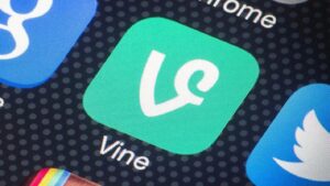 Vine