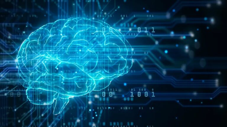 Meta yapay zeka yazılımını geliştirmek için insan beynini inceliyor