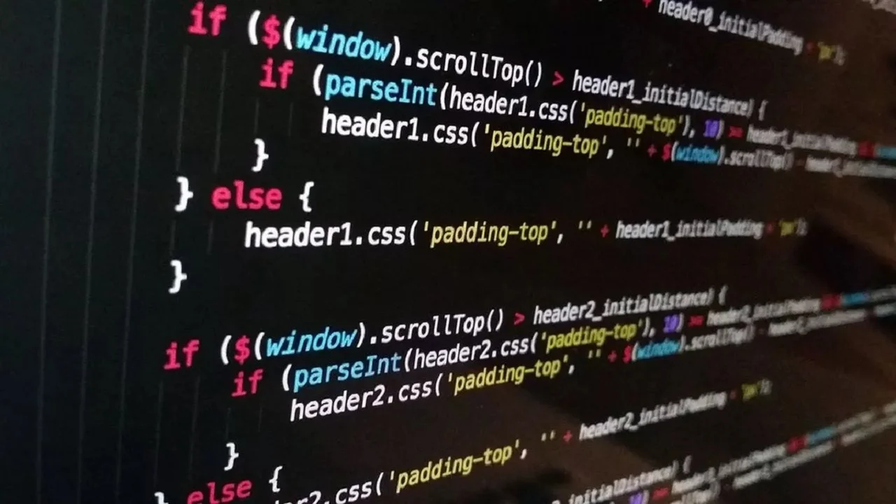 programlama dili