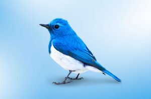 Yeni spam saldırıları kişilerin kripto cüzdanlarını hedefliyor 59 kripto cüzdanlarını