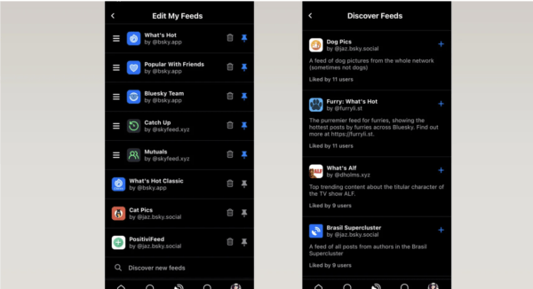 Twitter rakibi Bluesky kendi algoritmanızı seçmenize izin verecek