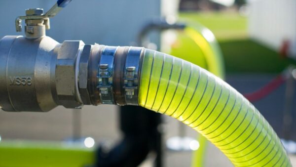 Mikro yosundan jet yakıtı üretecek 