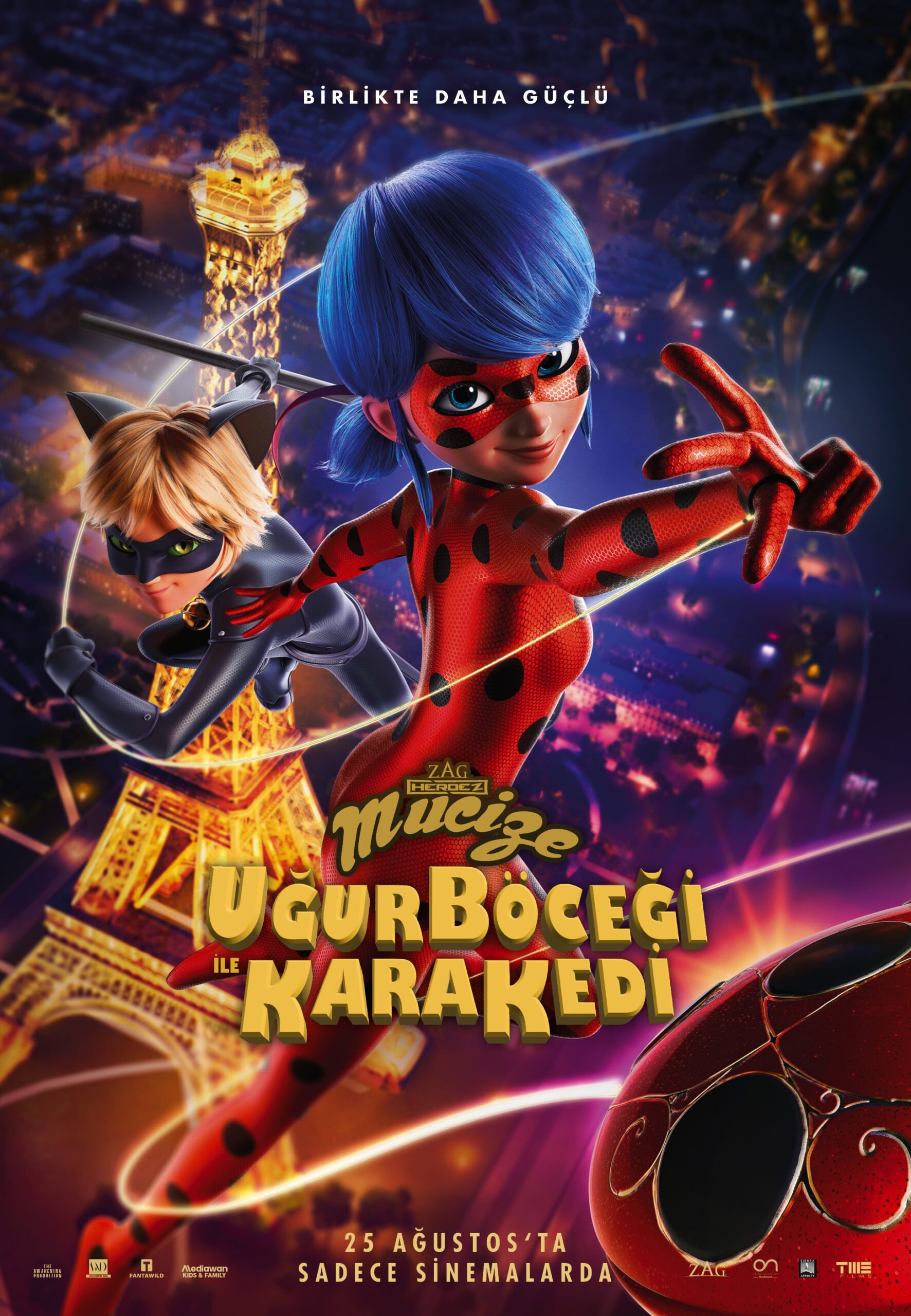 Mucize Uğur Böceği ile Kara Kedi