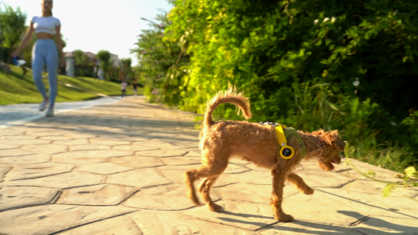 Kaybolan eşyalarınızı bulmak Wiami ile çok kolay 2 Wiami
