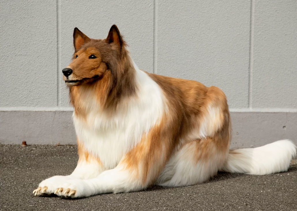 Servet harcayarak köpeğe dönüştü! Sıradaki hedefi panda