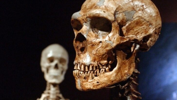 Homo Sapiens Neandertaller hakkında şaşırtıcı buluş!
