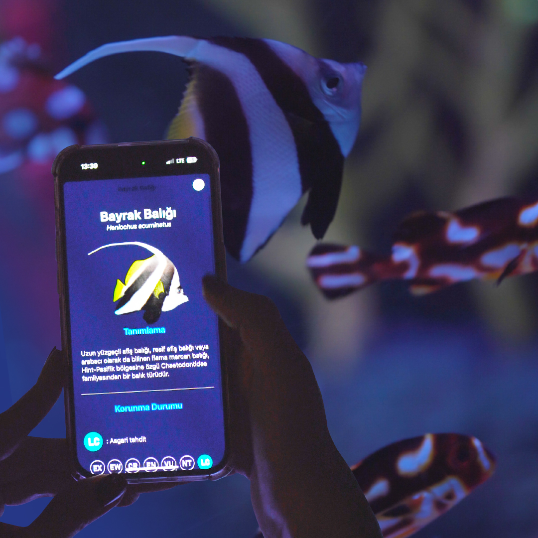 Seascan mobil : Okyanuslarin gizemli dünyası parmaklarınızın ucunda 1 Seascan