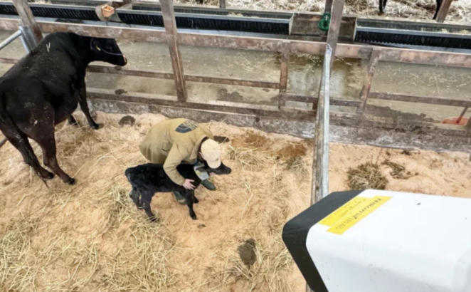 Nikon, Şaşırtıcı bir Yapay Zeka Kamerası Geliştirdi 33 Nikon, Şaşırtıcı bir Yapay Zeka Kamerası Geliştirdi