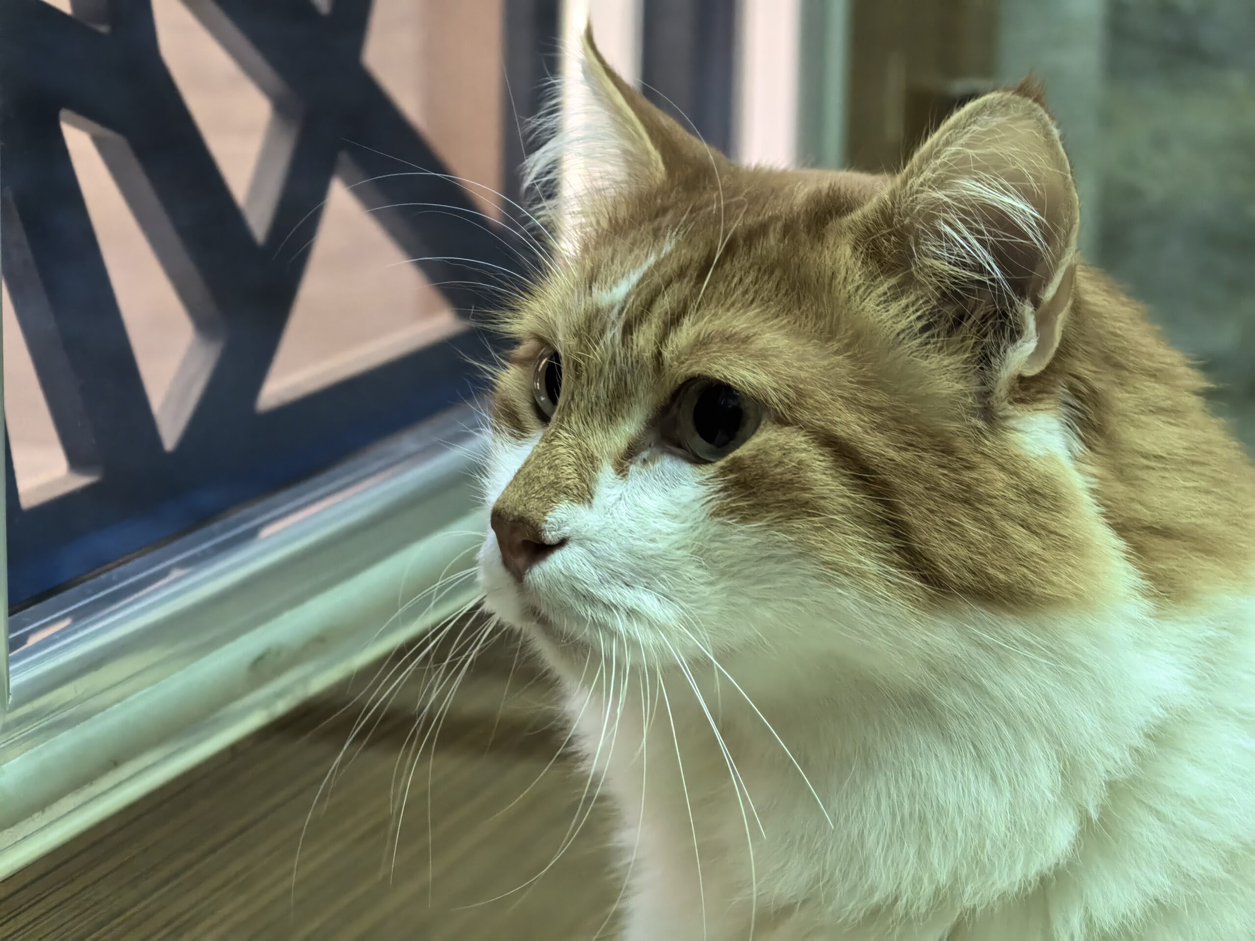 HUAWEI Pura 70 Ultra inceleme