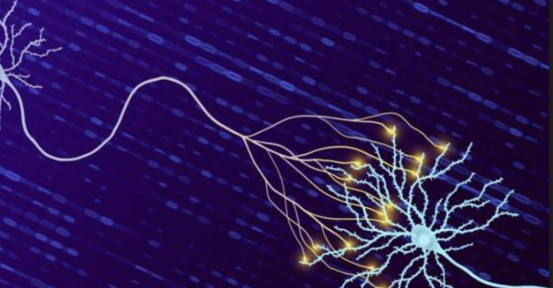 İnsan beyni önceden düşünülenden 10 kat daha fazla bilgi tutabiliyor