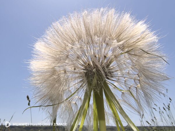 Coşkun Aral 'ın Son Belgeselinde Türkiye'nin Doğusunda Görsel Bir Yolculuğa Çıkın 2 2 5